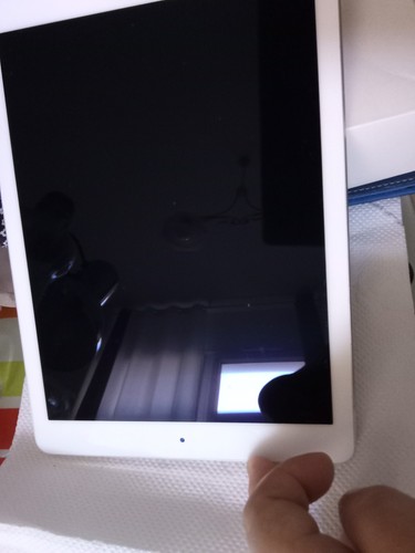 Apple ipad pollici - 10.7,