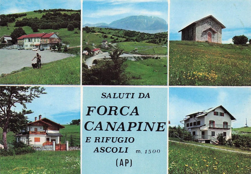 150d cartolina saluti - cartolina,