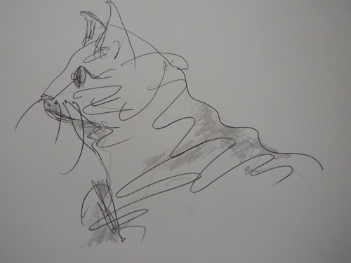 Matita picasso disegno gatto - picasso,