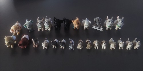 Cuccioli cerca amici - amici, magico