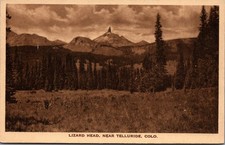 Cartolina Lizard Head Peak