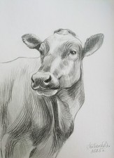 Disegno a matita su carta 11x8