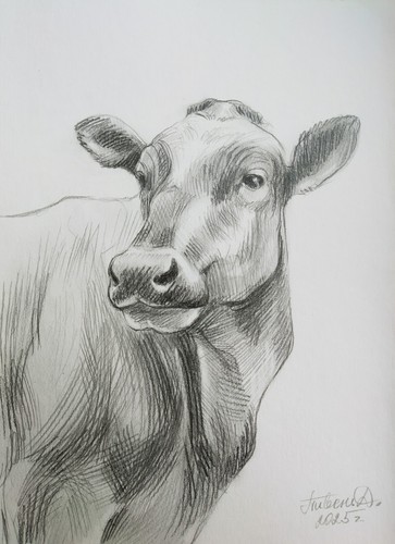 Disegno matita carta 11x8 - disegno,