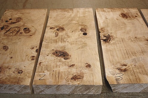 Poplar burr burl top - poplar, /