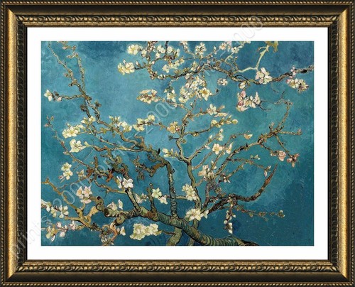 Fiore mandorlo vincent - mandorlo,