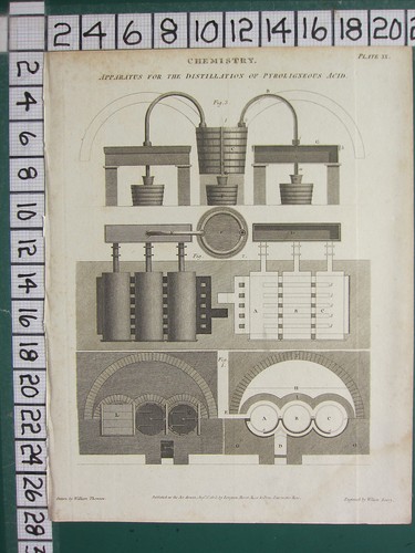 Stampa antica datata - stampa, 1805