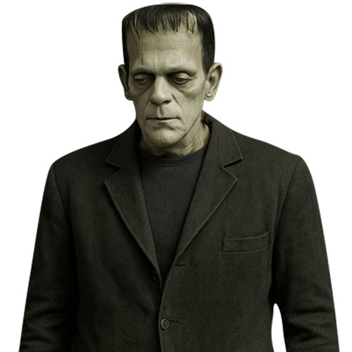 Frankenstein monster - frankenstein’s,
