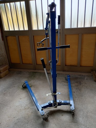 Sollevatore disabili - sollevatore,