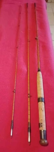 Canna bamboo mosca - in,