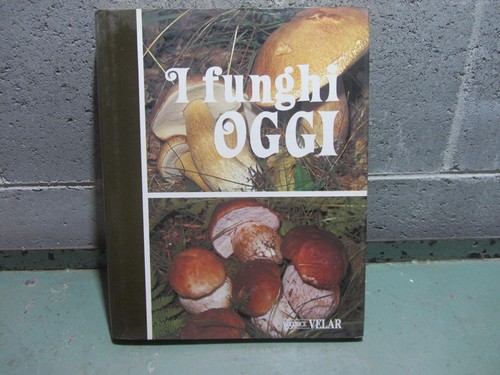 Funghi oggi enciclopedia - funghi,