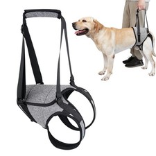 Imbracatura sollevamento cani - sollevamento,