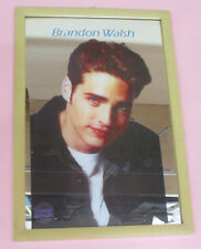 Specchio mirror vintage 90 BRANDON WALSH beverly hills 90210 22x32 cm no dvd vhs