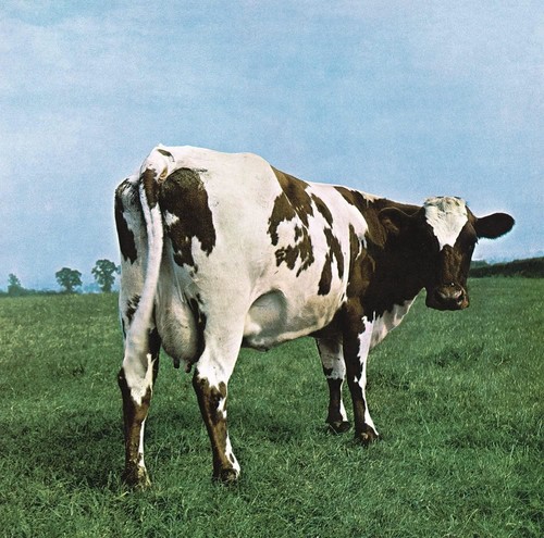 Vinile nuovo pink floyd - nuovo,