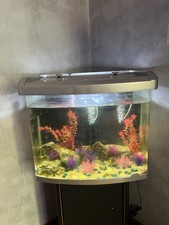 Vendo acquario usato 100 litri mobile no pompa con ossigenatori e decorazioni 