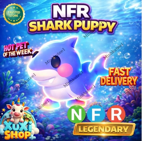 Nfr cucciolo di - nfr,