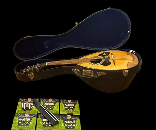 Suzuki mandolino vintage - suzuki,
