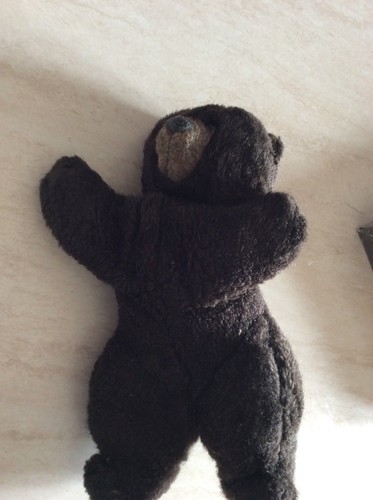 Rarissimo peluche orso - , bruno