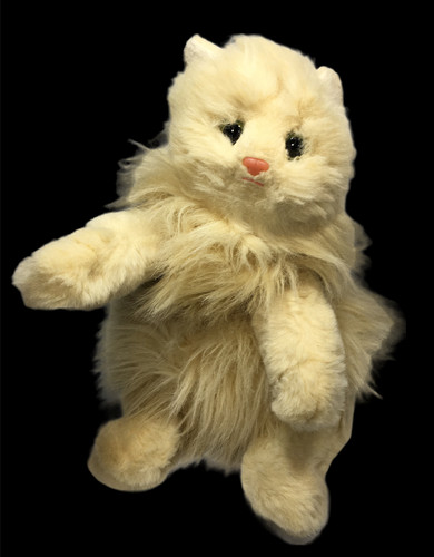 Classic peaches cat - ty,