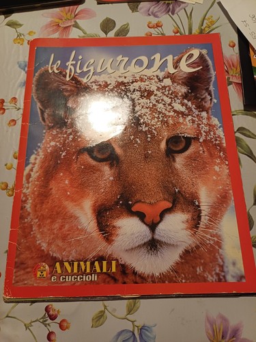 Album incompleto figurone - incompleto, le
