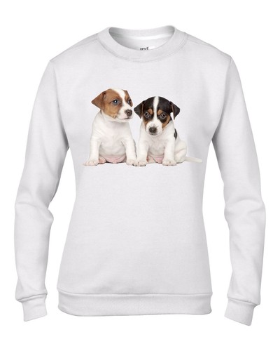 Jack russell cuccioli - jack,