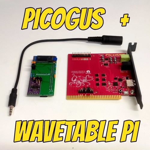 Picogus isa gravis ultrasound - gravis,