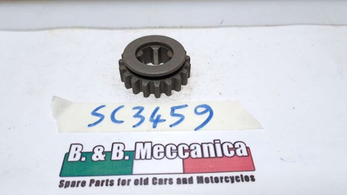 Ingranaggio cambio z19 - cambio,