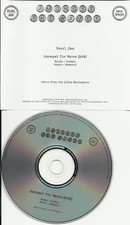 PEARL JAM Amongst the Waves RARE PROMO Radio DJ CD Single USA SELLER MINT 2010