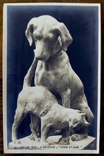 CARTOLINA CANE E GATTO CHIEN