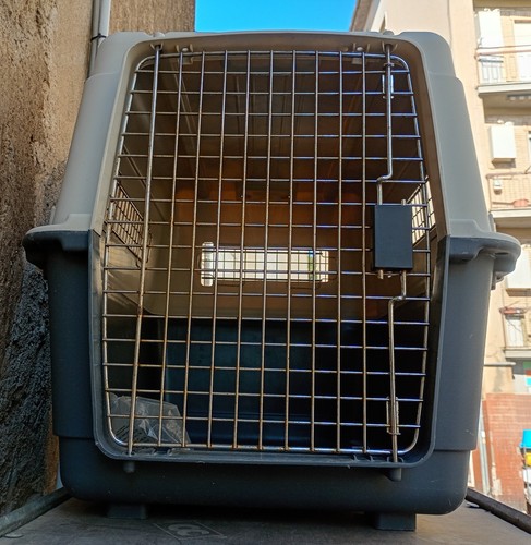 Trasportino cane grande con - cane,