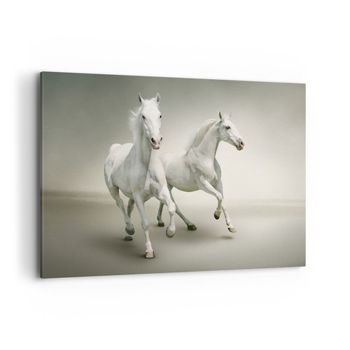 Quadro tela 120x80cm - su,