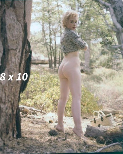 Stella stevens 8x10 foto - stevens,