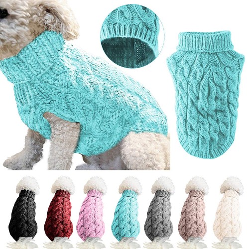 Cane compagnia dolcevita - cane,
