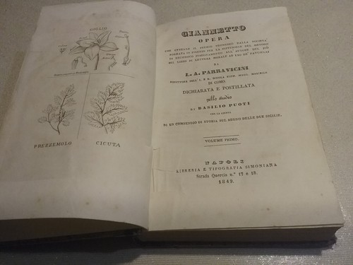 Compendio sul regno - sul, delle