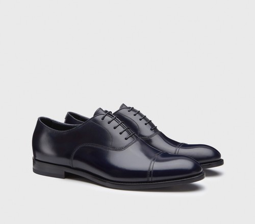 Doucal stringata oxford in - doucal's,