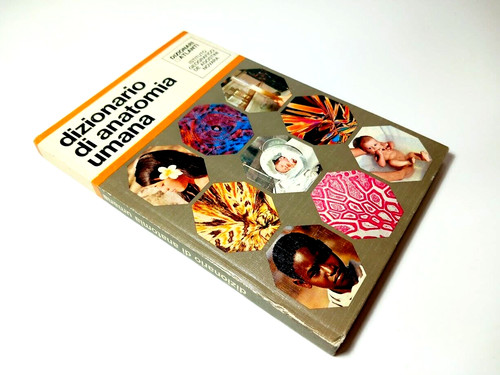 Dizionario anatomia umana - di,