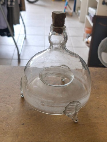 Vecchia trappola per mosche - trappola,