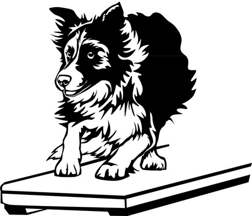 Adesivo border collie - adesivo,
