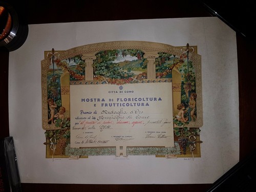 Como diploma premio - como,