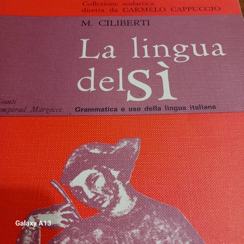 Libro ciliberti la lingua - libro,