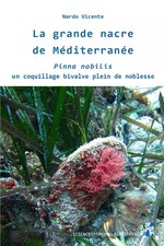 Grande nacre de - la,