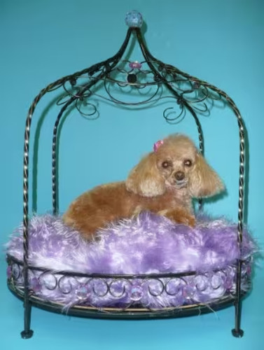 Letto per animali domestici
