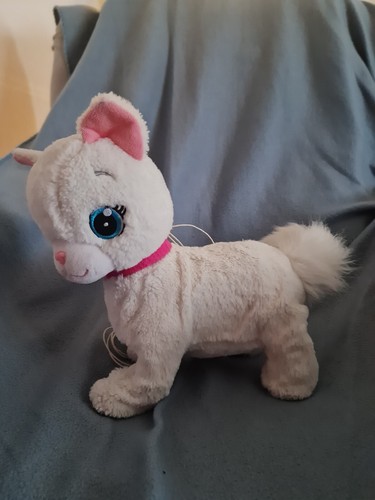 Gattina gatto bianca pets - gatto,