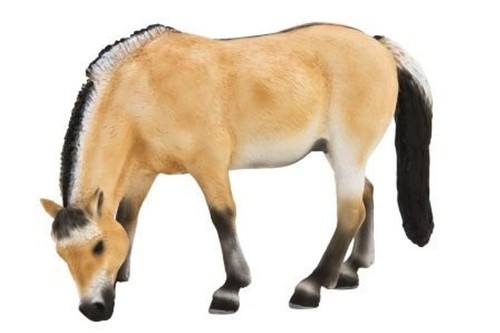 Mojo animali cavalli horses - animali,