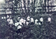 m409 cartolina  albaredo