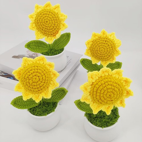 Pianta vaso girasole - pianta, in