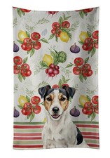 Parson Russell Terrier