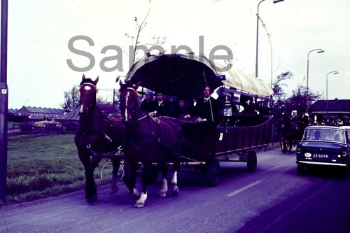 Carrozza vintage cavallo - vintage,