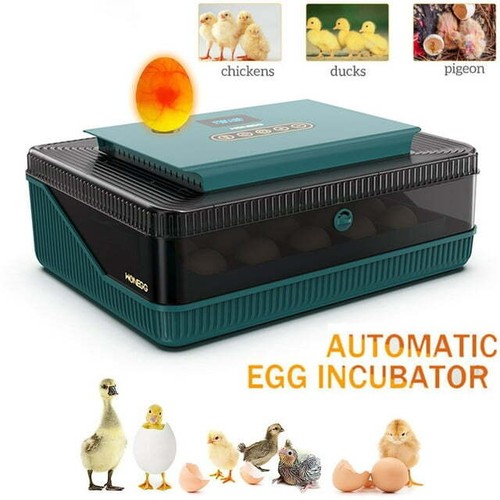 Incubatrice per uova