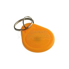 2 PEZZI CHIAVE TRANSPONDER TAG