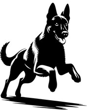 Adesivo MALINOIS - adesivo